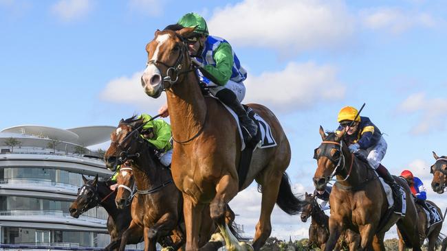 John Allen rides Grand Promenade to victory in the Bart Cummings at Flemington.