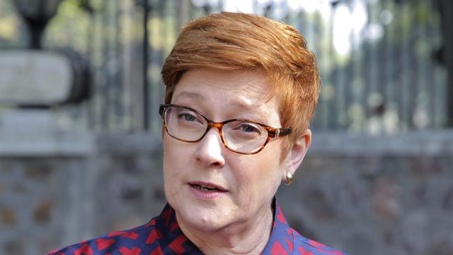 Australian Foreign Minister Marise Payne speaks to journalists in New Delhi, India. Picture: AP