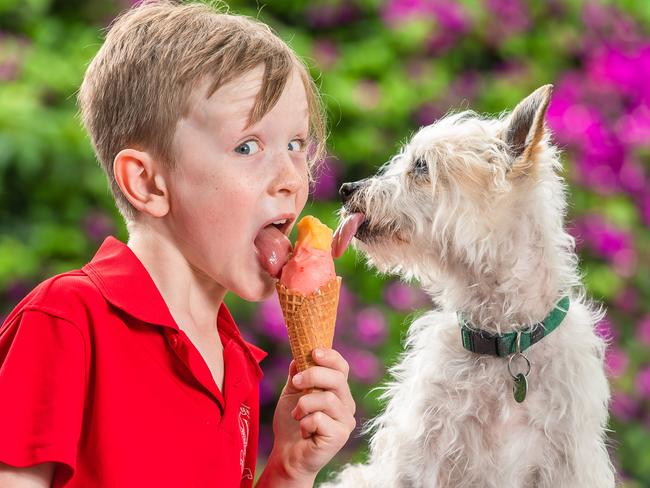 Not sure how to cool down with temperatures set to skyrocket this week? Take a leaf out of Nash’s book, with his best pal Gavin. Picture: Jason Edwards