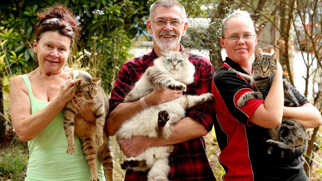 Lou Burke with Seth, Bob Evans with Lucky, and Melissa Cornish with Pickles at Redlands Animal Shelter, Thornlands. Picture: Richard Walker