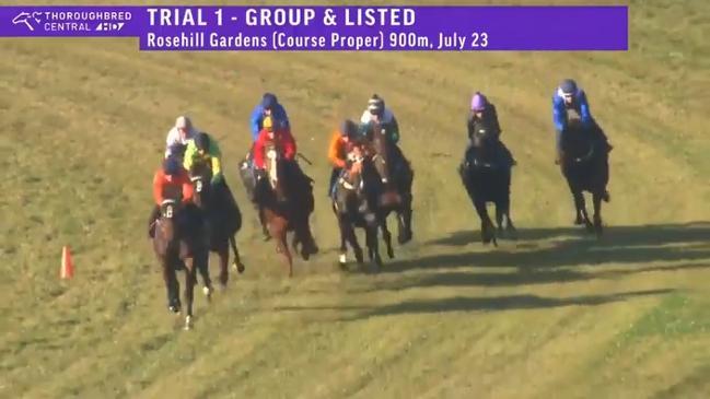 Winx finishes at the back of the pack in star studded trial, Chataqua doesn't jump