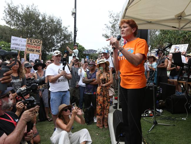 Pauline Hanson addresses protesters at Kurrawa Park on Saturday. Picture: Mike Batterham.