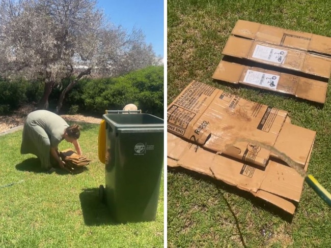 A Tiktok user has shared her recycling hack for the Christmas clean-up, but was met with criticism. Picture: Tiktok / Emma Ann Becker