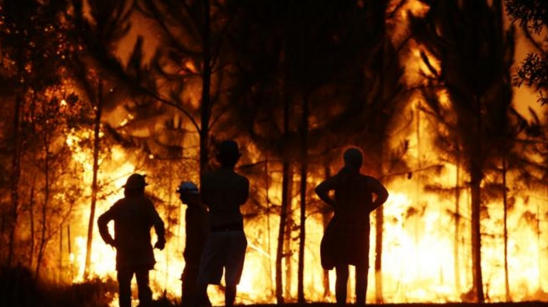 Crowds gather to watch a bushfire burn at Coolum. Picture: Lachie Millard