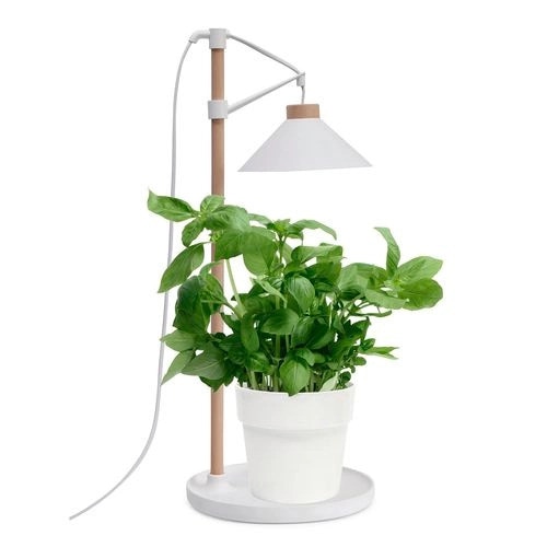 Home Grown grow table lamp