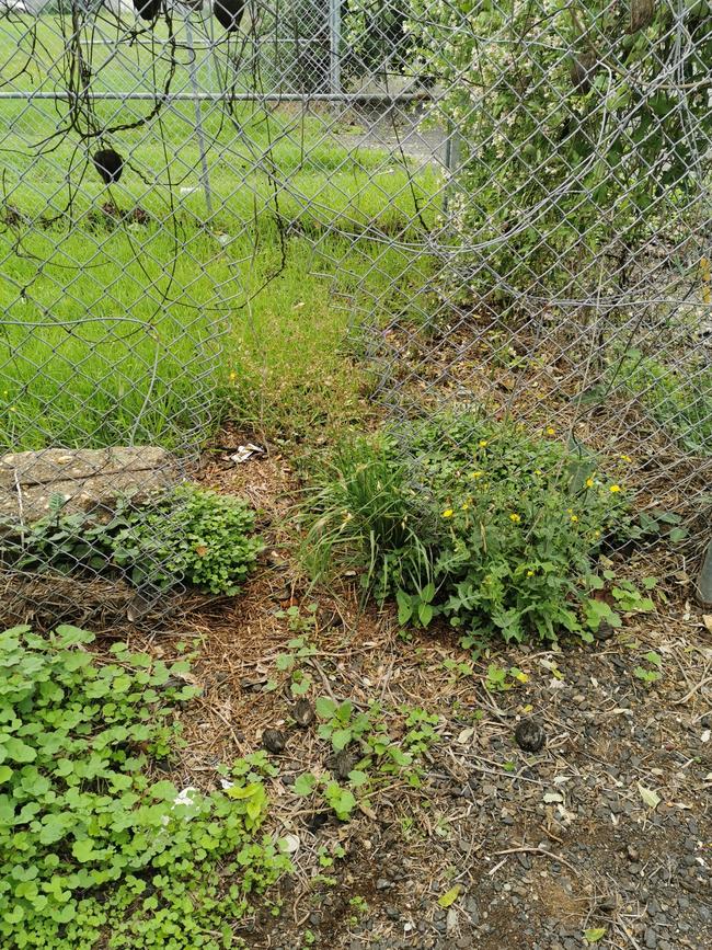 The fence that was cut at the back of the Sale CFA station.