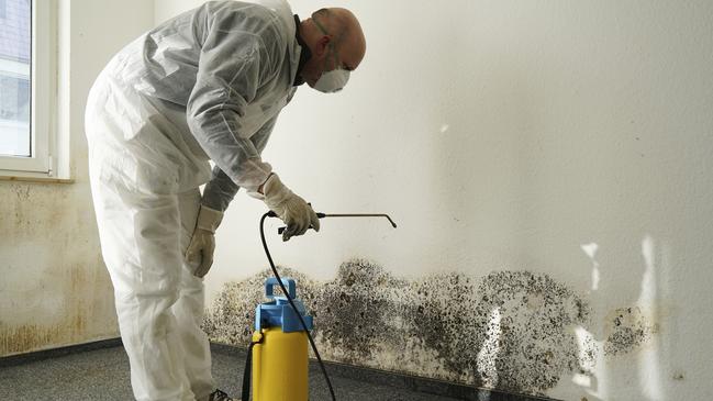 If your house has more than a small area of mould, experts suggest hiring a professional.