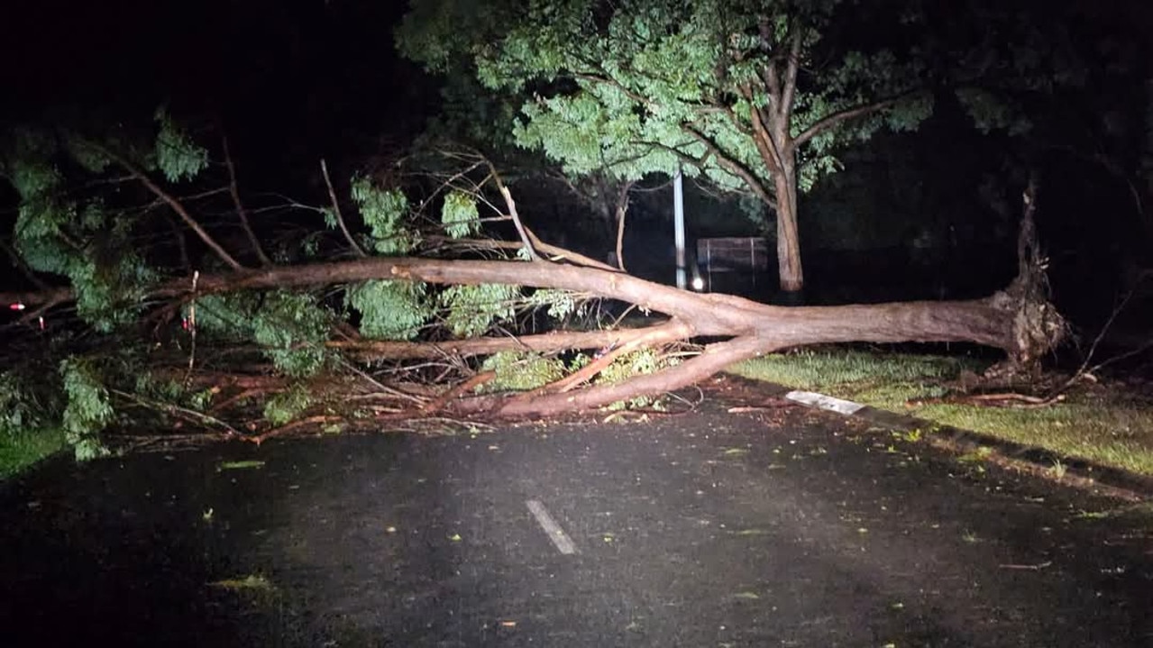 Cyclone damage on Valley Way, Mt Cotton