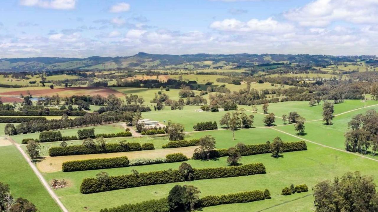 Wildwood Dairies Farm, At Lardner, Sold To Victorian Buyer | The Weekly ...