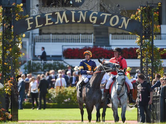 Chink in armour? Chautauqua still hasn’t won over the 1200m journey at Flemington. Picture: Getty Images