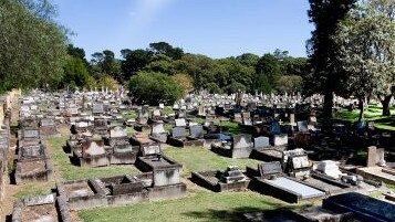 Manly Cemetery at Balgowlah. Picture: Northern Beaches Council