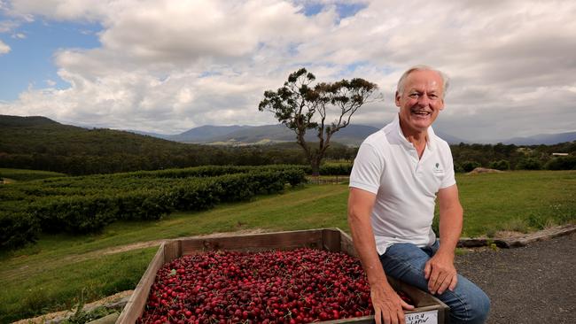 Andrew Fairley at his Yarra Valley Cherries property in Gruyere. Picture: Stuart McEvoy.