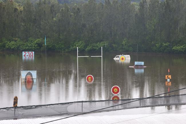 The shark looks right at home on Burleigh driving range. Picture: Glenn Hampson.