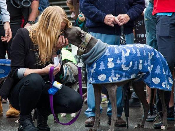 Reservoir communications specialist Kimberley Oxley and her rescue greyhound 'Blue'. April 4, 2022. Picture: Supplied