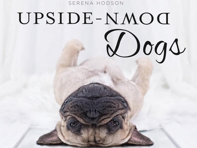 Upside-Down Dogs by Serena Hodson.