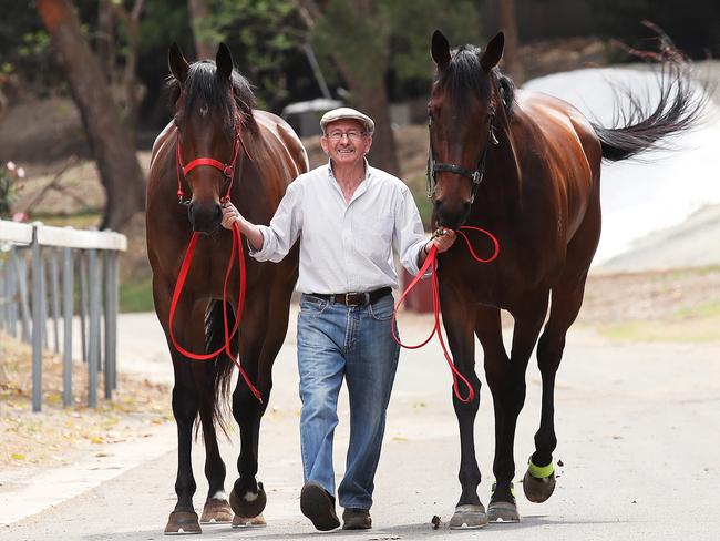 Trainer Ron Quinton with top mares Dixie Blossoms and Daysee Doom at his Randwick stables. Picture: Phil Hillyard