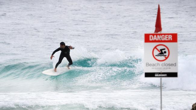 Local surfer Josh Hannant at Snapper Rocks. Photo: Scott Powick