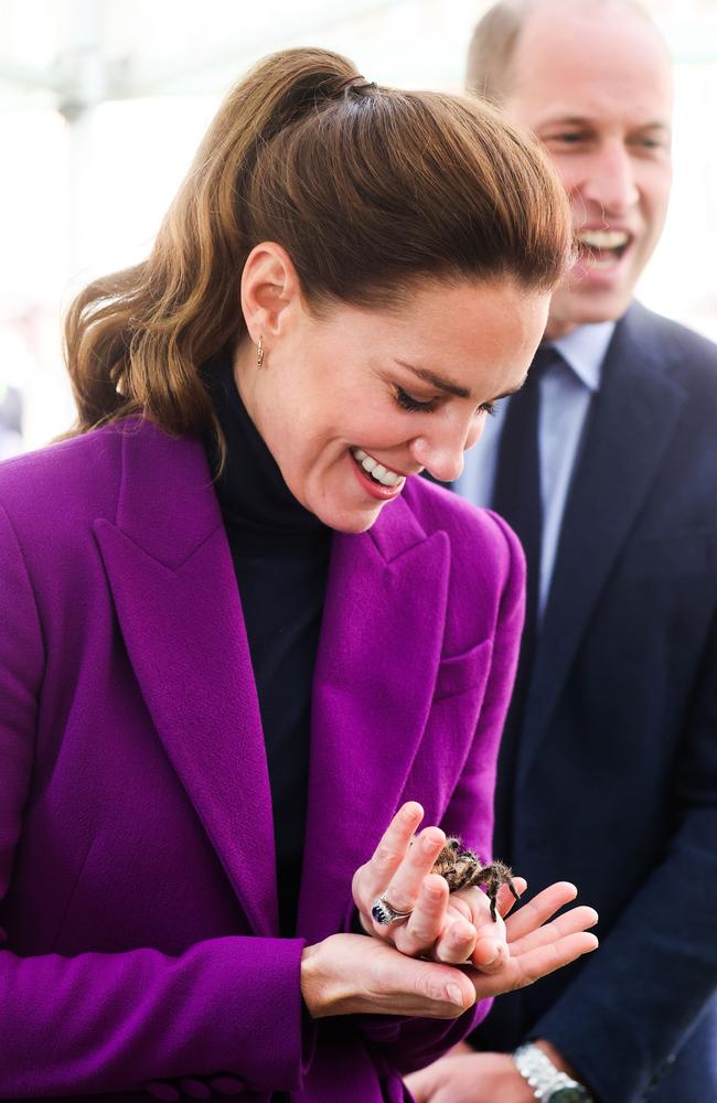 Kate Middleton got up close and personal with a tarantula in Northern Ireland. Picture: Getty Images