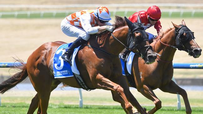 Philosopher powers to victory in the W.J. Adams Stakes at Sandown Lakeside on Saturday. Picture: Pat Scala/Racing Photos via Getty Images