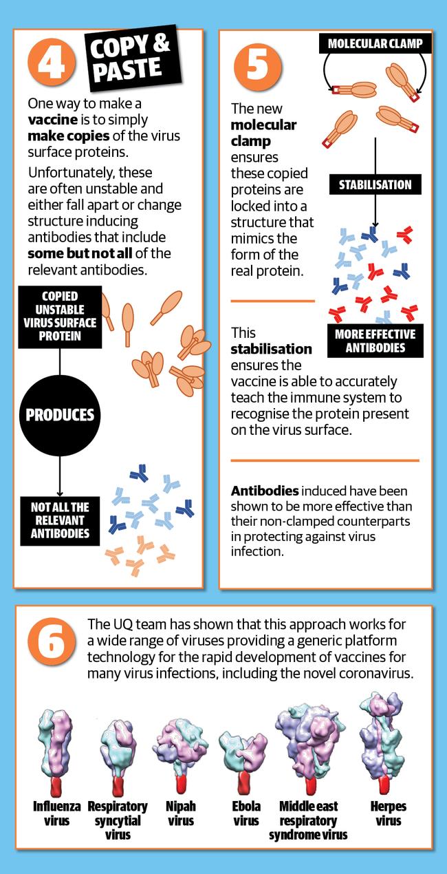 Explainer for UQ coronavirus vaccine