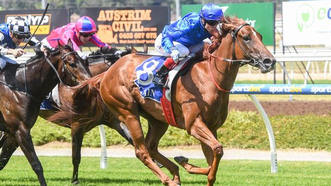 Red Card has trialled well ahead of her race return on Saturday. Picture: Getty Images