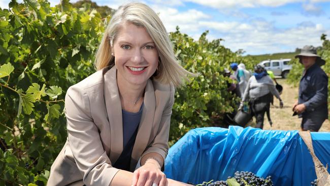 Angove Family Winemakers managing director Victoria Angove. Picture: Dean Martin