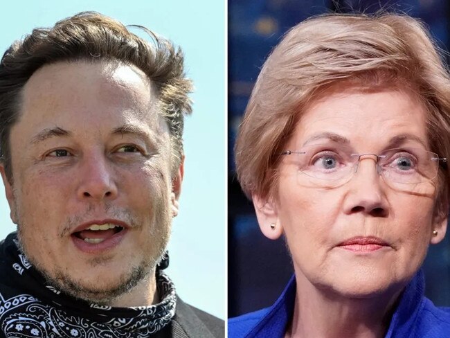 ‘Freeloader’ Musk canes ‘Karen’ Warren over tax feud