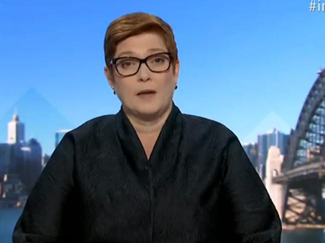 Defence Minister Sen Marise Payne speaking on the ABC'S Insiders program.