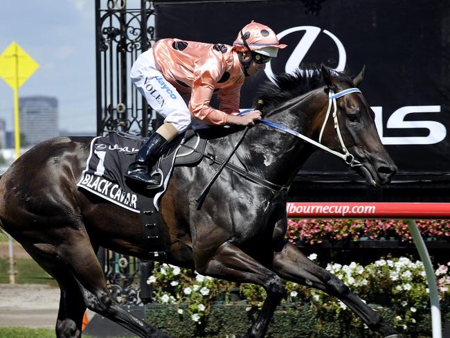 12/03/2011 RACING: Flemington. Race 6. Black Caviar Luke Nolen stroll to victory in the Lexus Newmarket Handicap