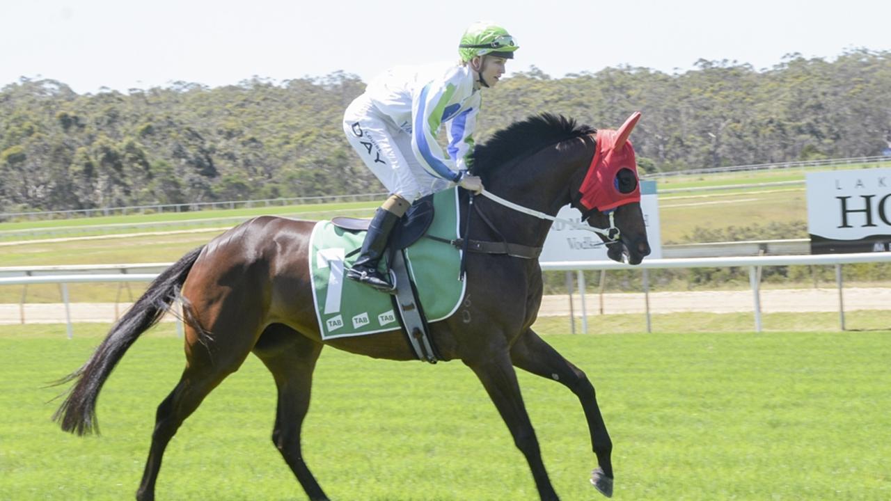 Wagga, Muswellbrook previews: Pepper ‘on target’ for Cup success