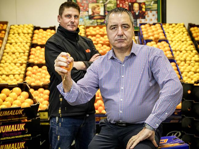 Fruit fly outbreak - Angelo Demasi CEO of the Produce Markets at Pooraka is determined to quash the outbreak (and with citrus specialist Pete Mercurio of Bache Bros) friday May 22, 2020 - pic MIKE BURTON