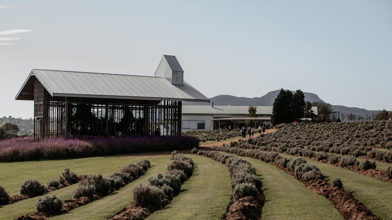 Kooroomba Vineyard and Lavender farm.