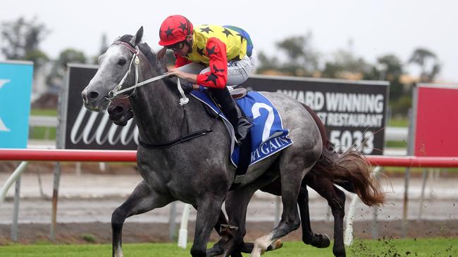 Gold Coast Turf Club.Winner of race 2, Ten Taubada's ridden by Matthew McGuren.Photo by Richard Gosling