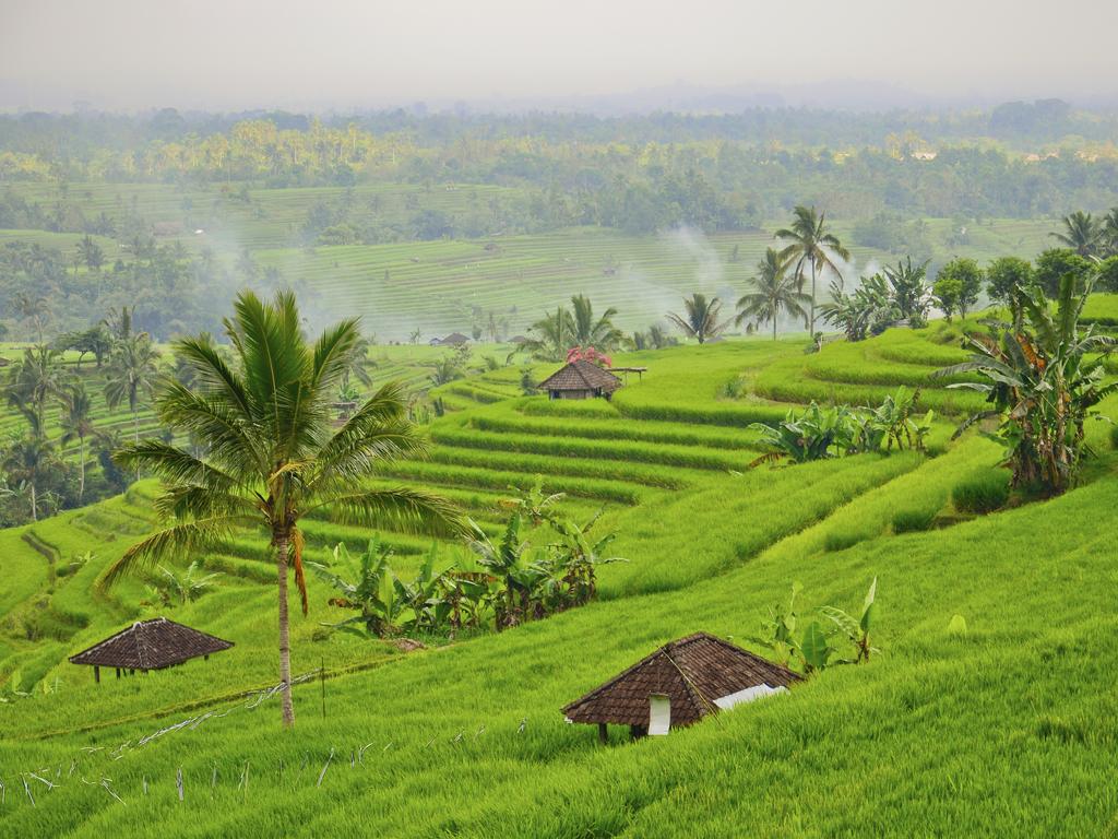 Ubud: For a spiritual, holistic experience.