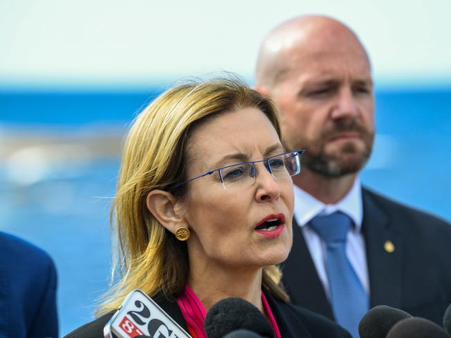 Environment Minister Gabrielle Upton said the water would be made available to buy within the Gwydir, Macquarie, Lachlan, Murrumbidgee and Murray-Lower Darling valleys. Picture: AAP Image/Brendan Esposito