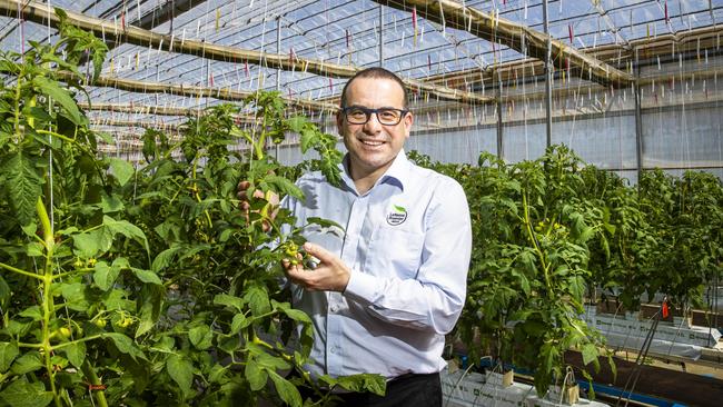 Anthony Di Pietro expects horticulture profit margins to be squeezed in the short term.