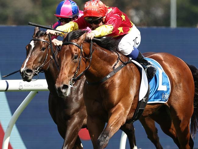 SYDNEY, AUSTRALIA - NOVEMBER 09: Tim Clark riding North England wins Race 6 Inglis Golden Gift during Sydney Racing at Rosehill Gardens on November 09, 2024 in Sydney, Australia. (Photo by Jeremy Ng/Getty Images)