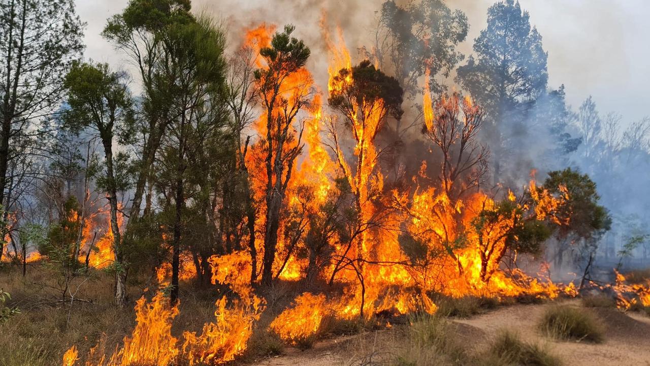 Hundreds of Queensland Fire and Emergency Services personnel are working to contain large bushfires are Fairyland and Myall Park.