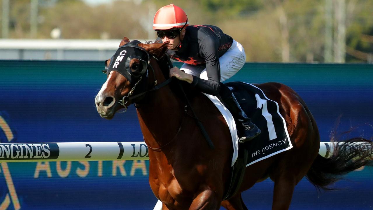 Consistent mare Semana is one of the roughies engaged in Saturday’s Group 1 CF Orr Stakes at Caulfield. Picture: Getty Images