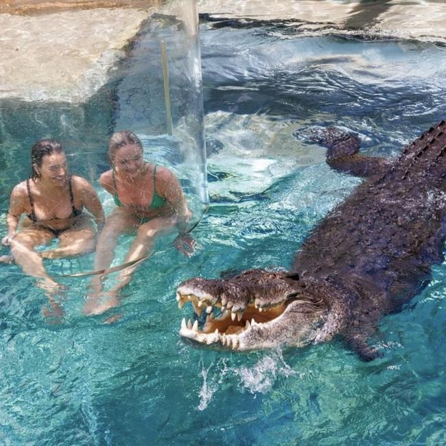 Cage of Death experience at Darwin's Crocosaurus Cove in the Northern Territory. Picture: Crocosaurus Cove Instagram