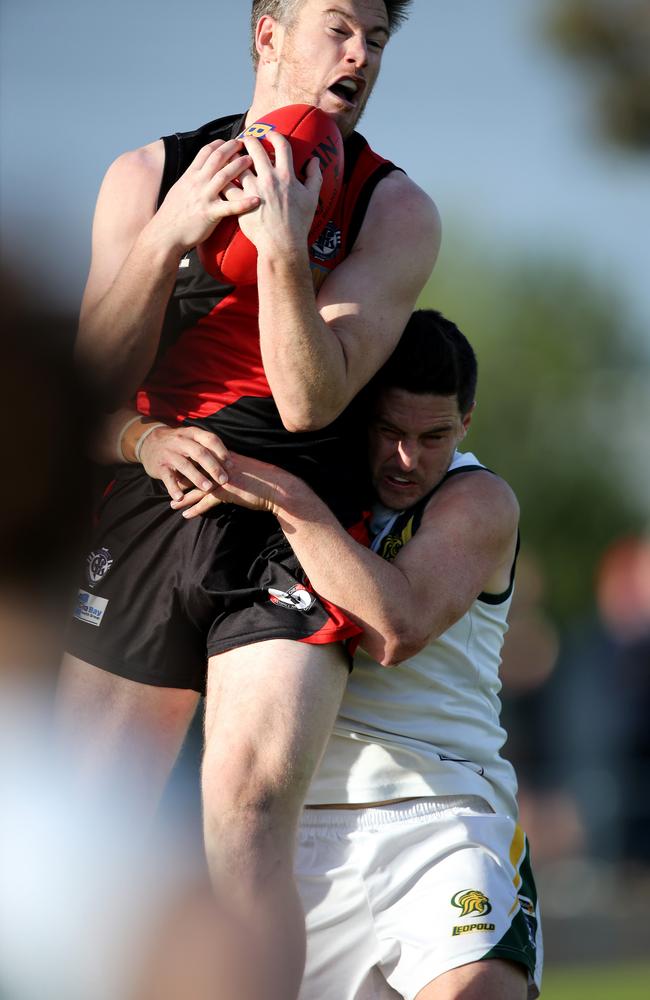 GFL preliminary finals Senior footy: Newtown &amp; Chilwell v Leopold. Newtown's Matthew Boag marks under pressure from Leopold's Thomas Gordon. Picture: Mike Dugdale