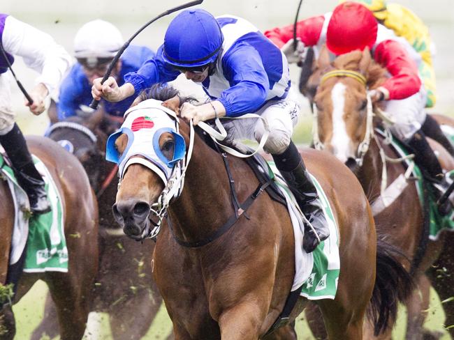 Disgraceful ridden by Jason Collett wins race 9 during Melbourne Cup day at Royal Randwick. pic Jenny Evans