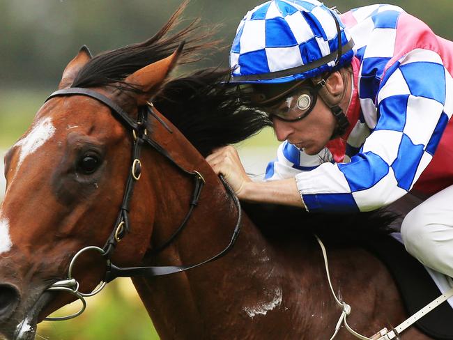 Fell Swoop ridden by Blake Shinn, wins race 1 during Rosehill midweek races. pic Mark Evans