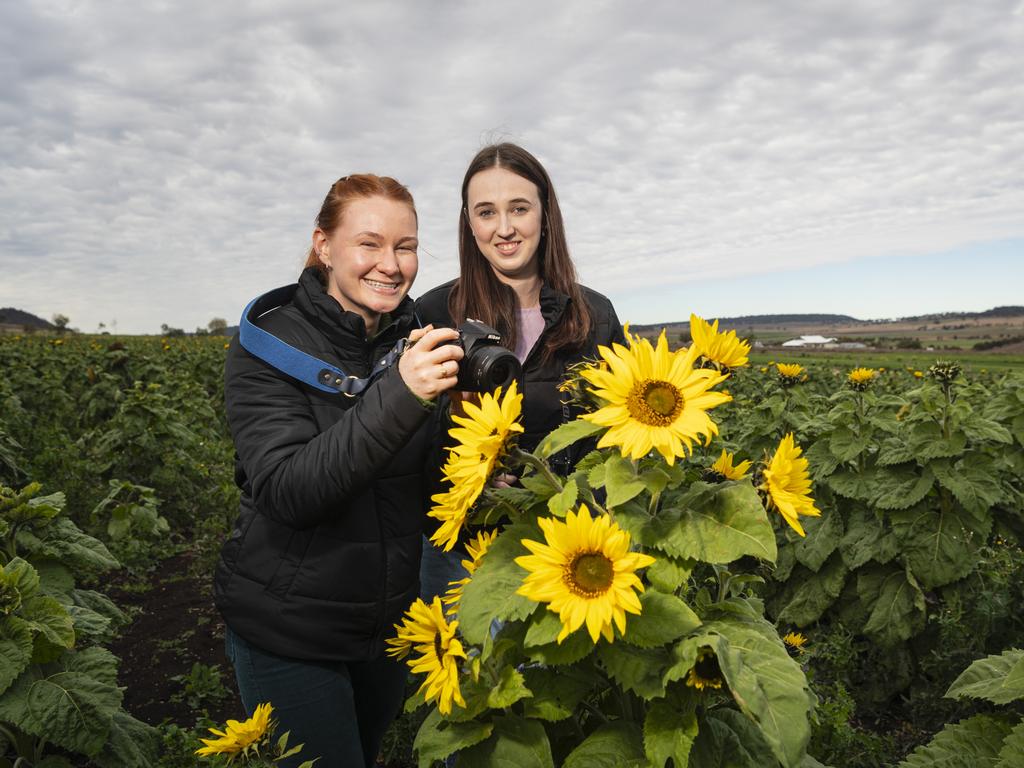 Ella Shanyn-Miller (left) and Samantha Templeton travelled from Brisbane to visit Warraba Sunflowers, Saturday, June 22, 2024. Picture: Kevin Farmer