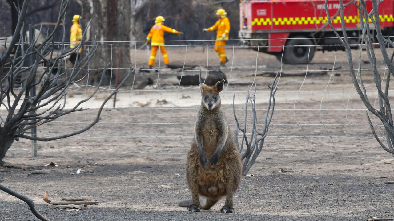 Grampians residents told to ‘remain vigilant’ as hot weather looms