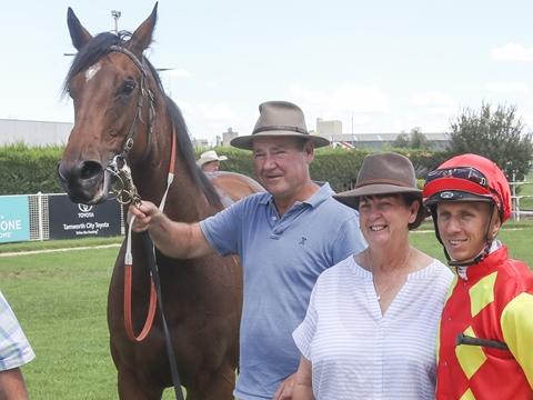 Trainer Rod Northam is hoping his bargain buy Splash Of Steel can take down his high-priced rivals on debut at Rosehill. Picture: Bradley Photos