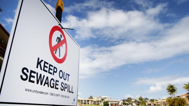 Canal sewage contamination scare at Mooloolaba.  Photo:Lachie Millard/ Sunshine coast Daily