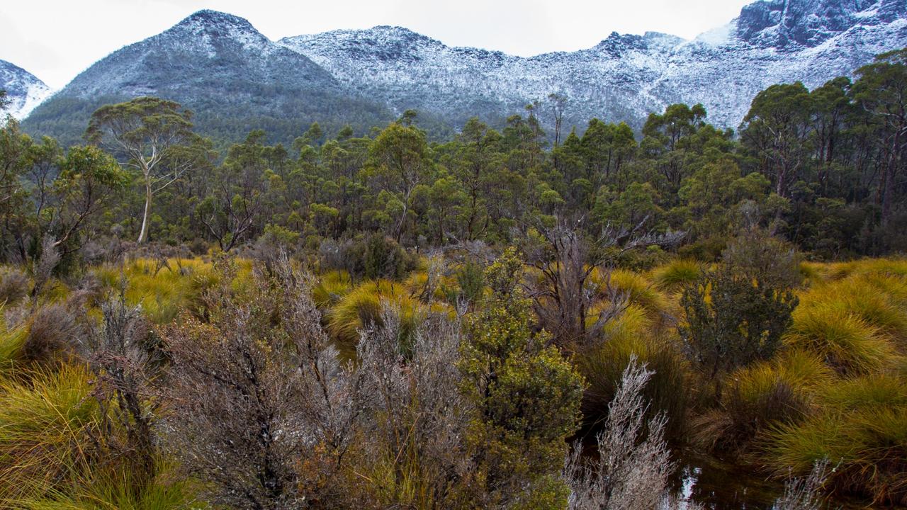 Barefoot interstate tourist fails Cradle Mountain climb attempt