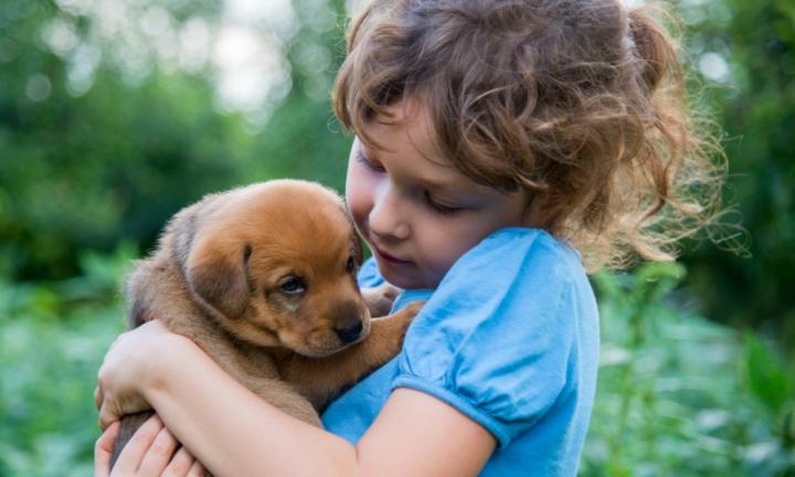 Children store and puppies