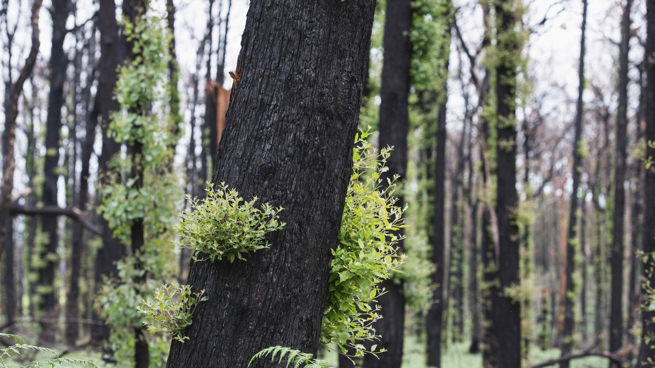 Taskforce says no to new parks